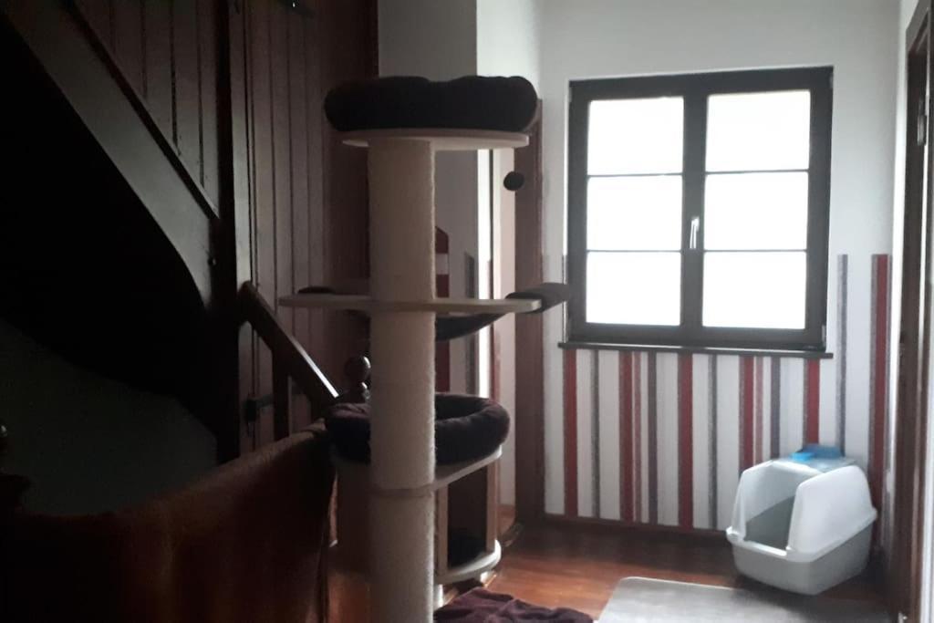 Private Room In Our Home With Free Vvo Ticket & Cats Pirna Eksteriør bilde