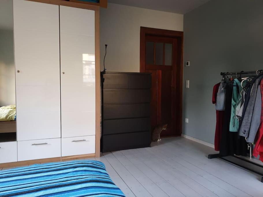 Private Room In Our Home With Free Vvo Ticket & Cats Pirna Eksteriør bilde