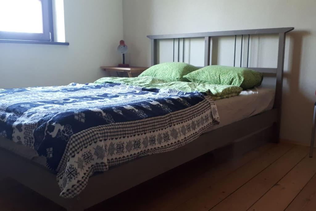 Private Room In Our Home With Free Vvo Ticket & Cats Pirna Eksteriør bilde