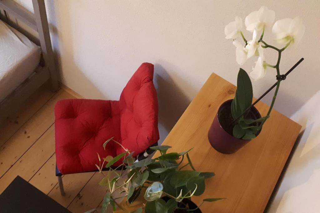 Private Room In Our Home With Free Vvo Ticket & Cats Pirna Eksteriør bilde