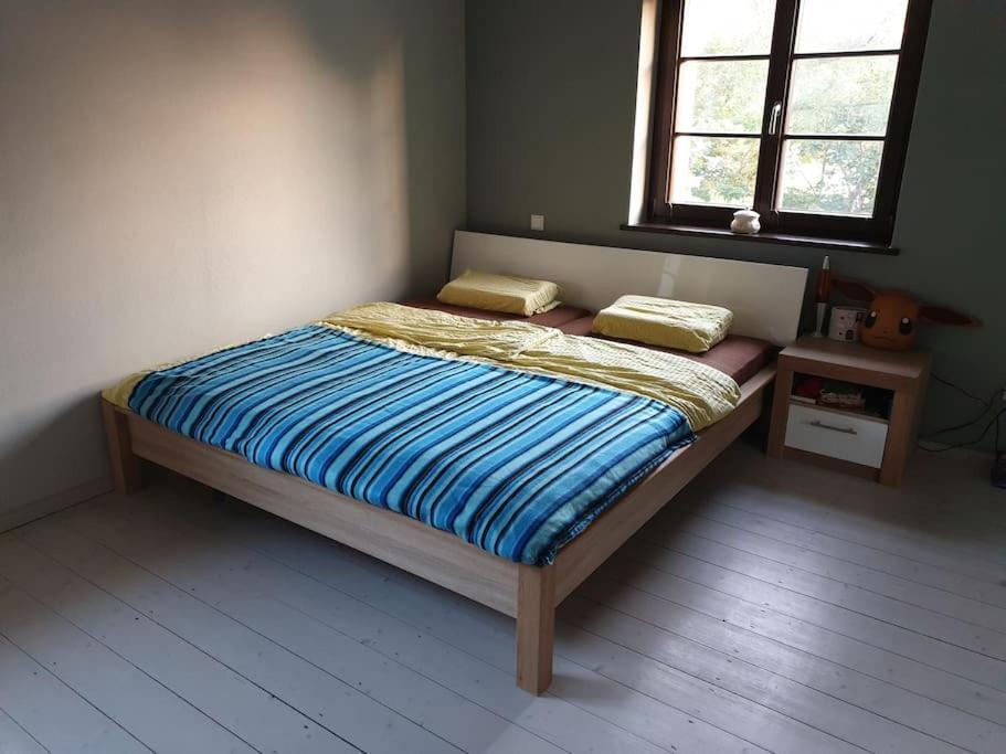 Private Room In Our Home With Free Vvo Ticket & Cats Pirna Eksteriør bilde